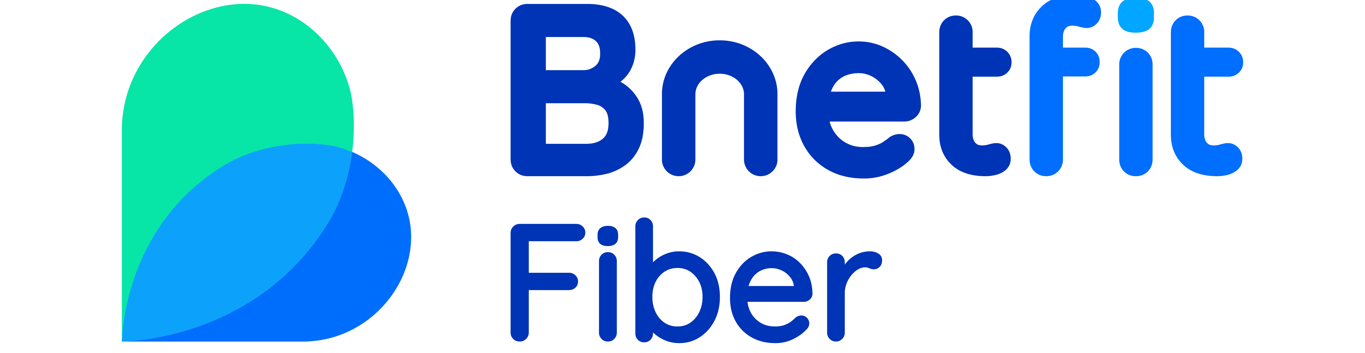 Logo Bnetfit Baru