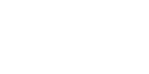 Bnetfit Pro