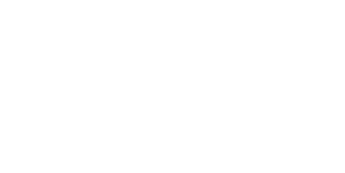 Bnetfit Regular