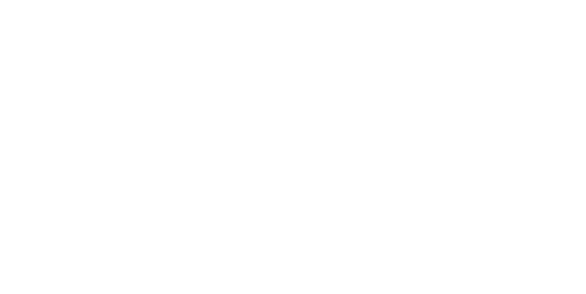 Bnetfit Secure 100