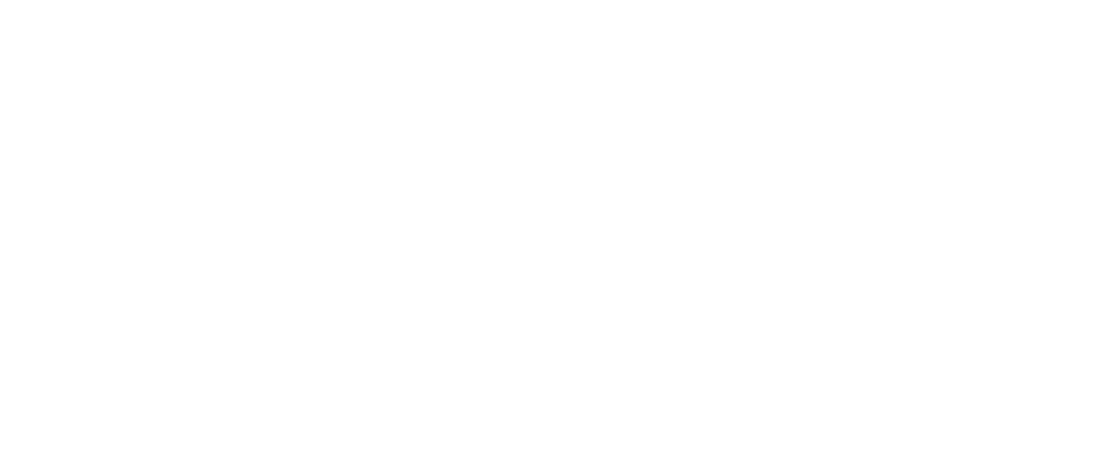 Bnetfit Pro Max